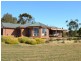 126  Mitchell  Avenue, Murray Bridge SA 5253