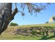 Lot 2 Queen Louisa  Drive, Murray Bridge SA 5253