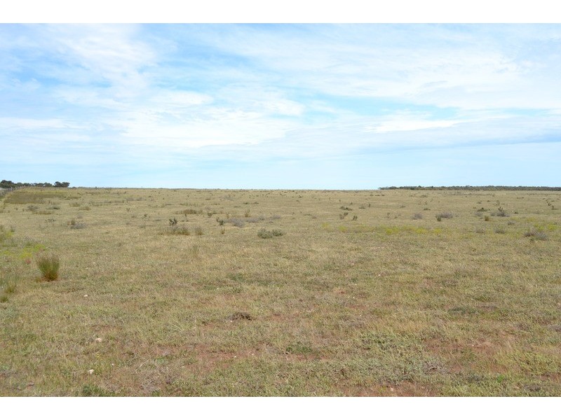 Lot 241 Flagstaff Road, Murray Bridge SA 5253
