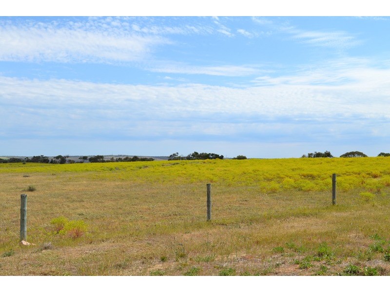 Lot 241 Flagstaff Road, Murray Bridge SA 5253