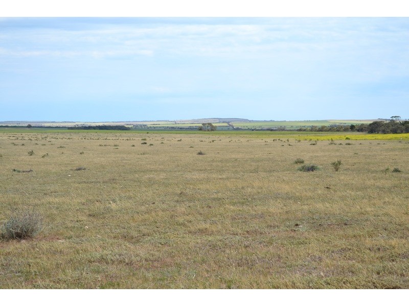 Lot 241 Flagstaff Road, Murray Bridge SA 5253