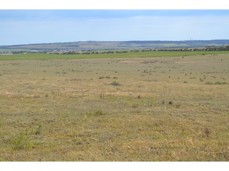 Lot 242 Flagstaff  Road, Murray Bridge SA 5253