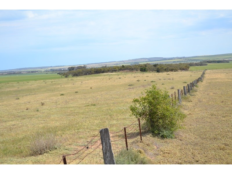 Lot 242 Flagstaff  Road, Murray Bridge SA 5253