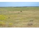 Lot 242 Flagstaff  Road, Murray Bridge SA 5253