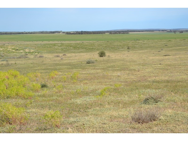 Lot 242 Flagstaff  Road, Murray Bridge SA 5253