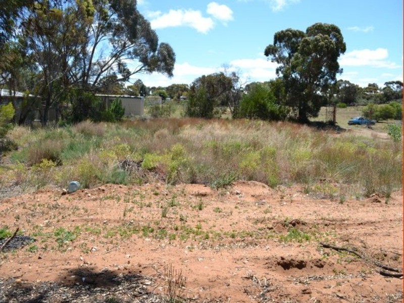 Murray Bridge SA 5253