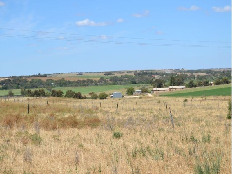 lot 202 Jervois  Road, Murray Bridge SA 5253