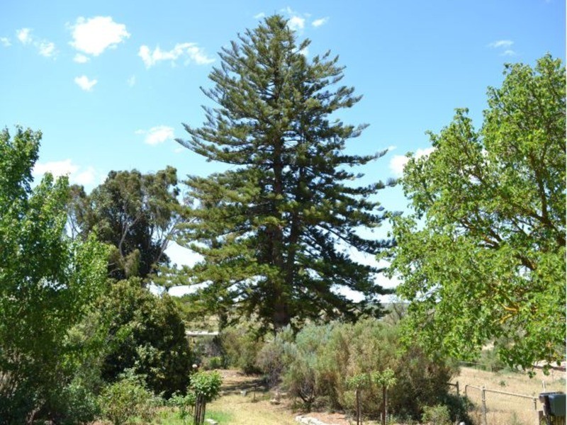 lot 202 Jervois  Road, Murray Bridge SA 5253