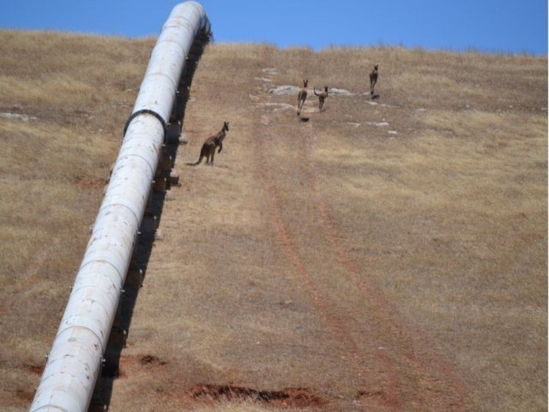 Myponga Beach SA 5202