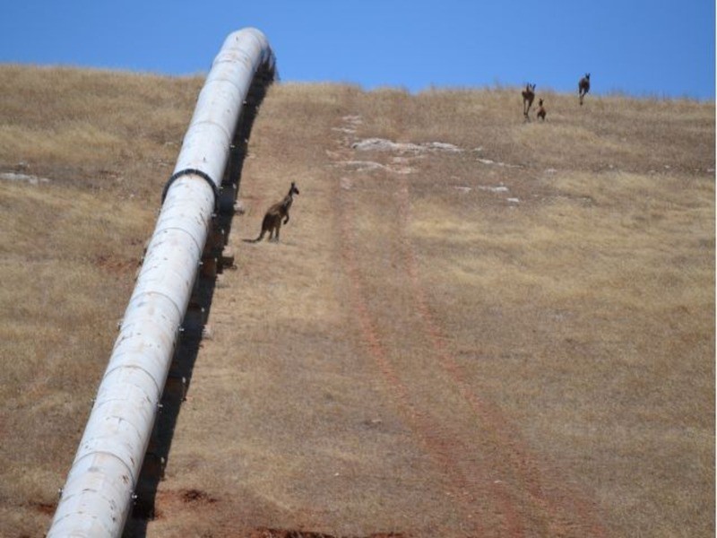 Myponga Beach SA 5202