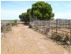 Murray Bridge SA 5253