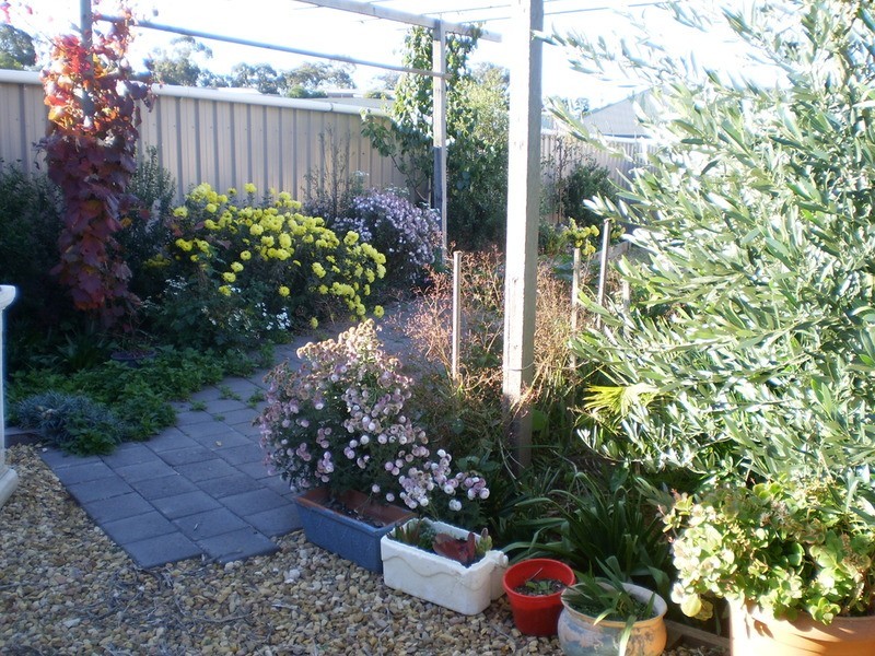 25 Willowbark Crescent, Murray Bridge SA 5253