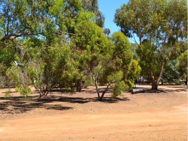Strathalbyn SA 5255