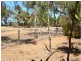 Strathalbyn SA 5255