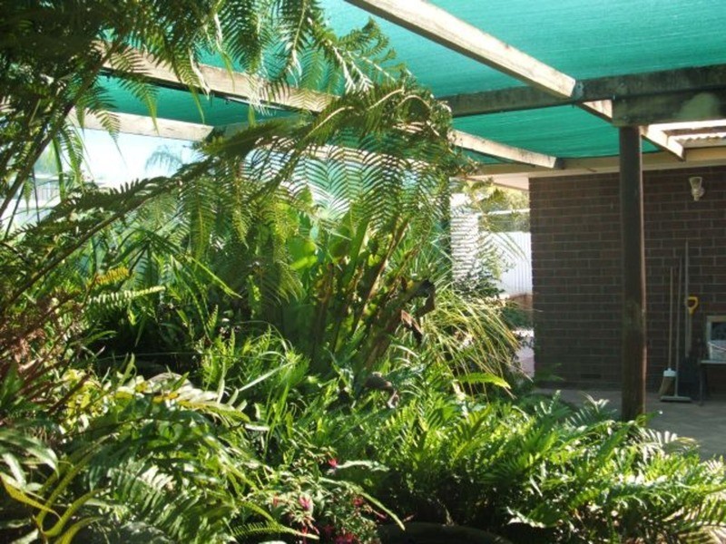 Murray Bridge East SA 5253