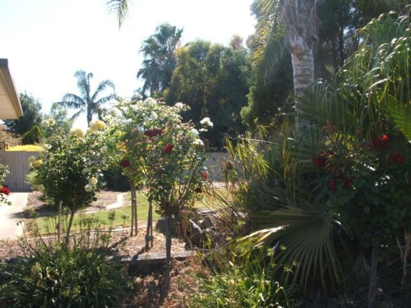 Murray Bridge East SA 5253