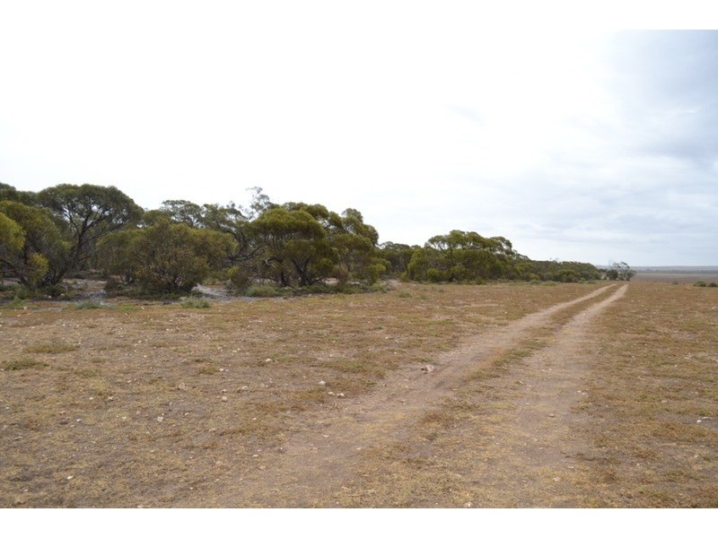 Lot 244 Flagstaff Road, Murray Bridge SA 5253