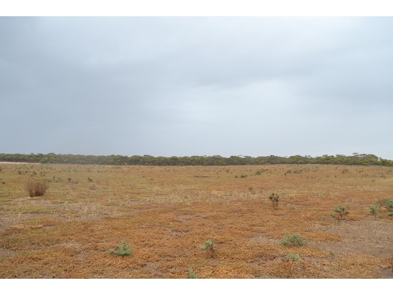 Lot 244 Flagstaff Road, Murray Bridge SA 5253