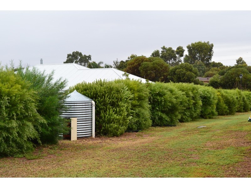 20 Tumut Road, Murray Bridge SA 5253