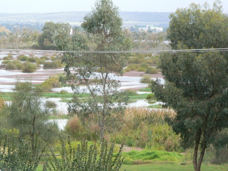195 Avoca Dell Drive, Murray Bridge East SA 5253