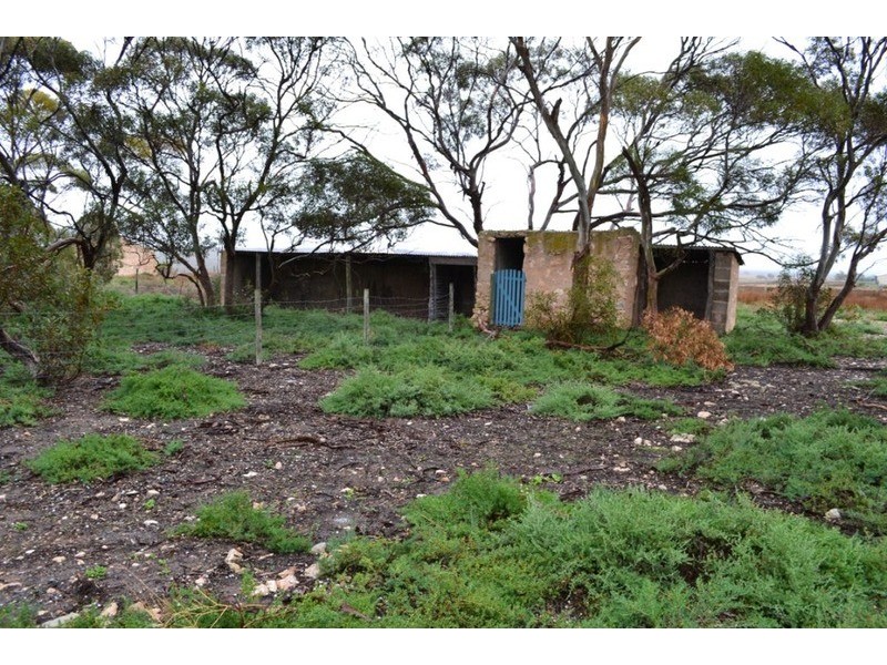 100 Boundary Road, Murray Bridge SA 5253