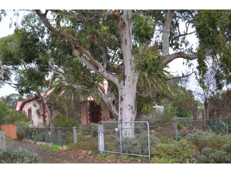 100 Boundary Road, Murray Bridge SA 5253