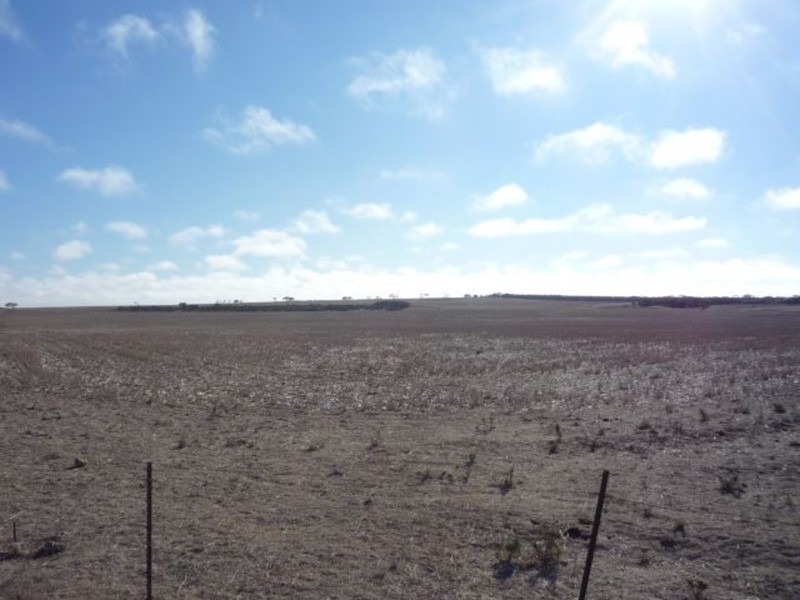 1214 Flagstaff Road, Murray Bridge SA 5253