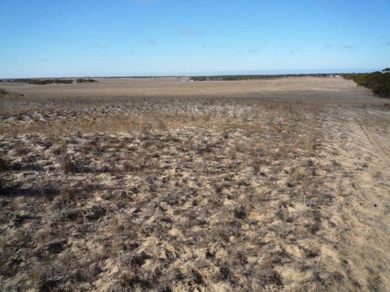 1214 Flagstaff Road, Murray Bridge SA 5253