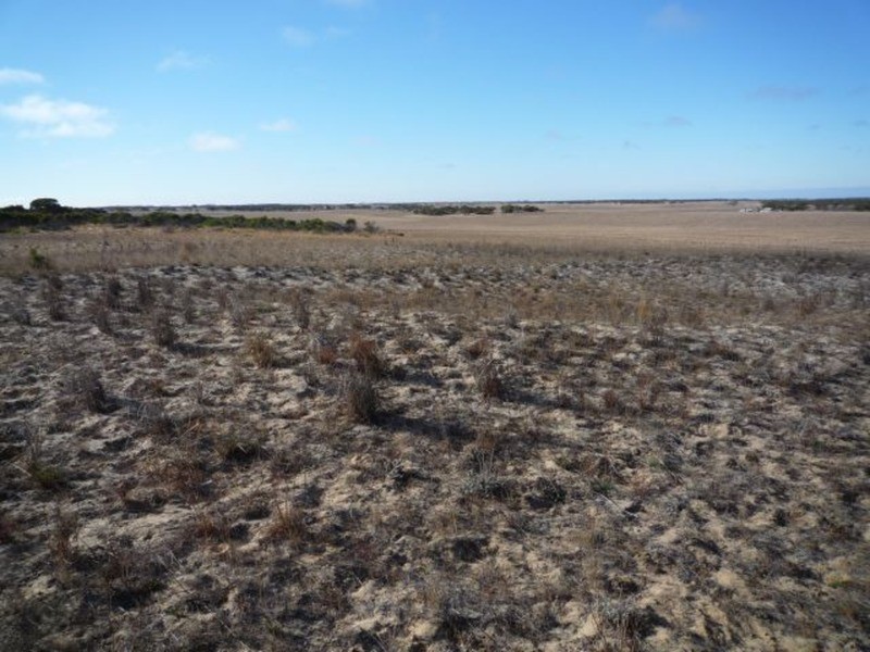 1214 Flagstaff Road, Murray Bridge SA 5253