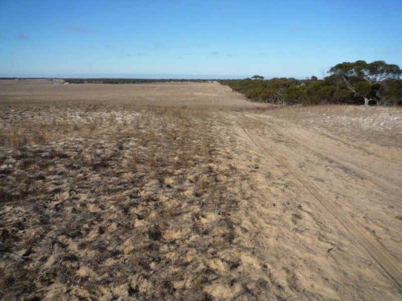 1214 Flagstaff Road, Murray Bridge SA 5253