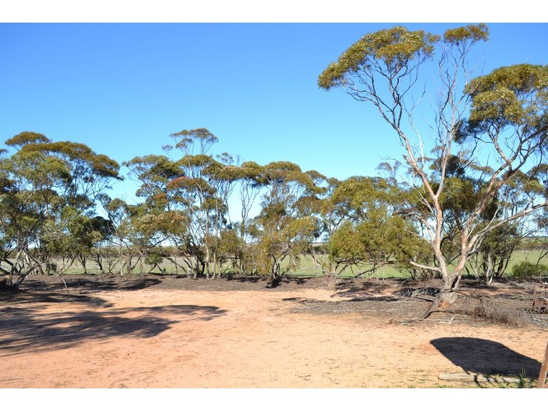 Lot 1 Stones Road, Karoonda SA 5307
