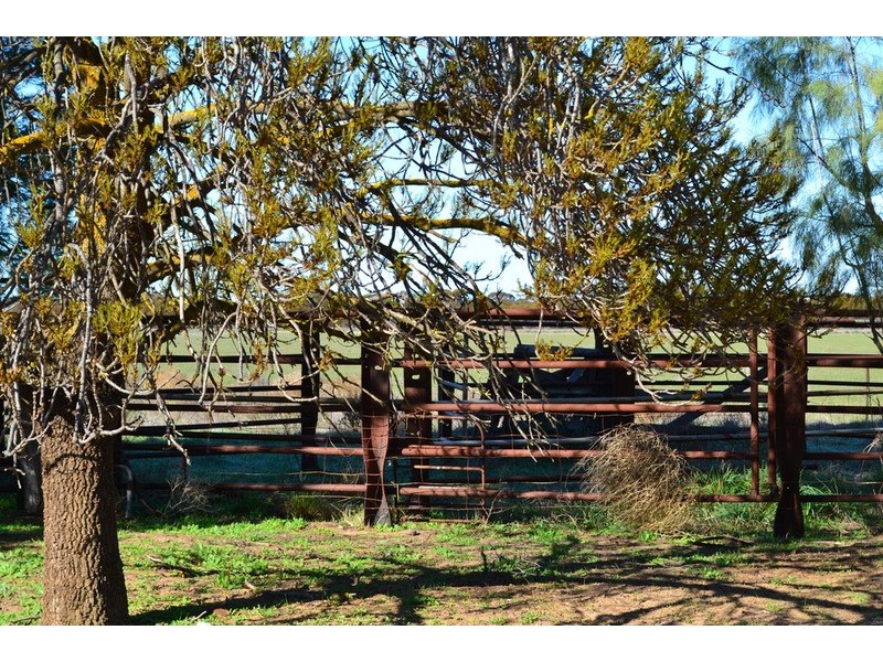 Lot 1 Stones Road, Karoonda SA 5307