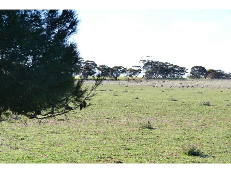 Lot 1 Stones Road, Karoonda SA 5307