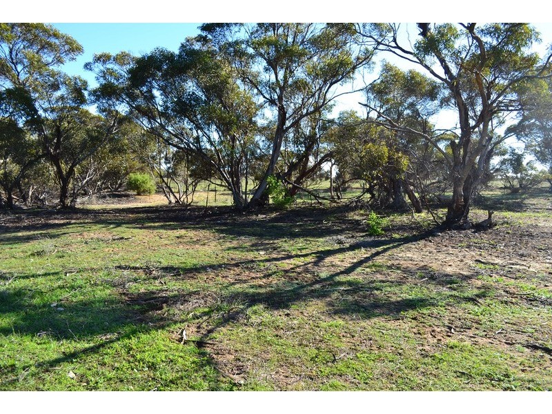 Lot 1 Stones Road, Karoonda SA 5307