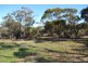 Lot 1 Stones Road, Karoonda SA 5307