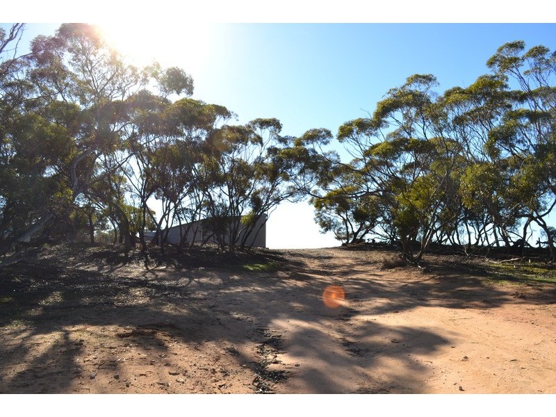 Lot 1 Stones Road, Karoonda SA 5307