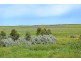 46 Tulkaneara Road, Meningie SA 5264