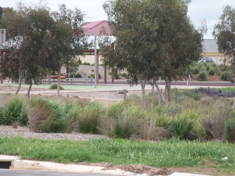 Lot 15 Sedge Court, Murray Bridge SA 5253