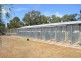 6 Bungana Drive, Murray Bridge SA 5253
