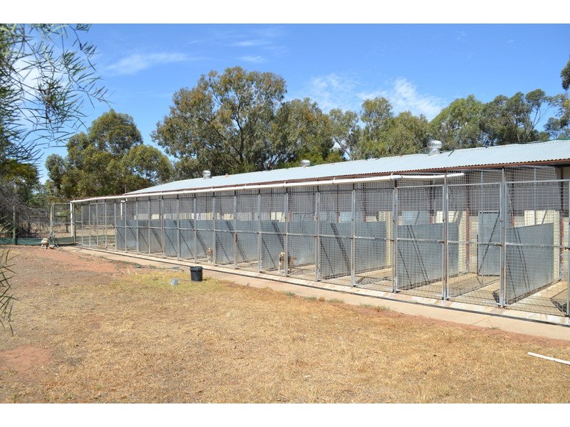 6 Bungana Drive, Murray Bridge SA 5253
