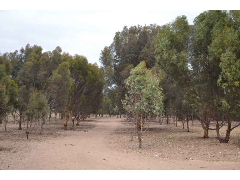 34 Parkway Drive, Murray Bridge SA 5253