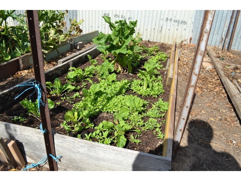 38 Hawke Road, Murray Bridge SA 5253