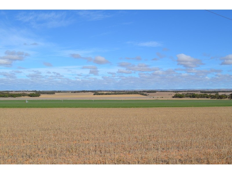 Lots 6, 91, & 171 Otto Road, Toora SA 5253