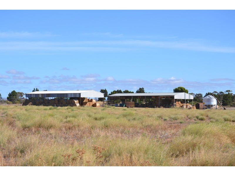 Lots 6, 91, & 171 Otto Road, Toora SA 5253