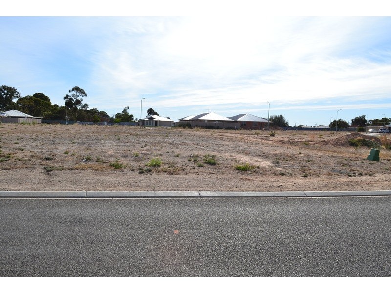 12 Cawte Street, Murray Bridge SA 5253