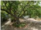 2A Samson Avenue, Westbourne Park SA 5041