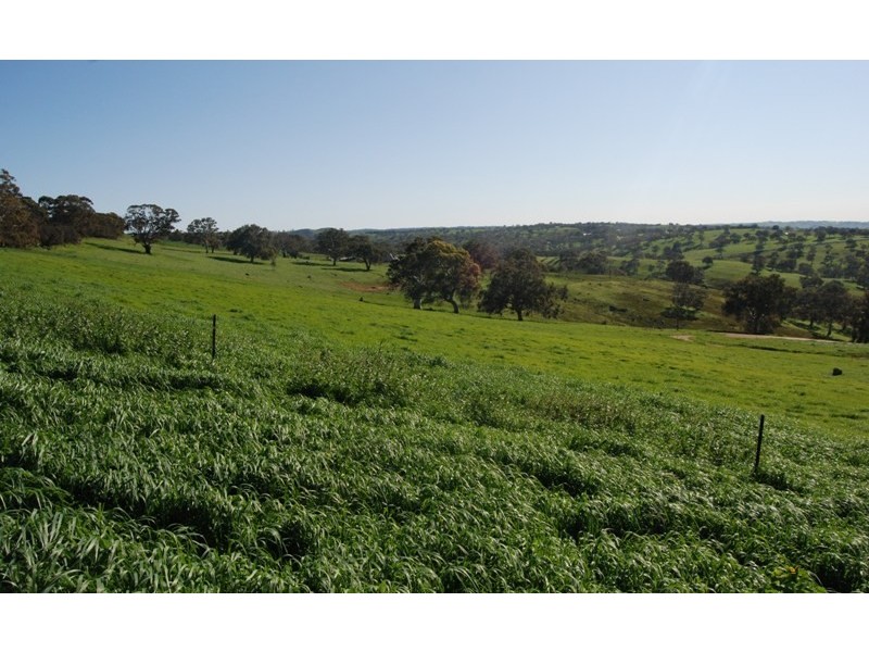 Lot 13 & 14 Ironstone Range Road, Dawesley SA 5252