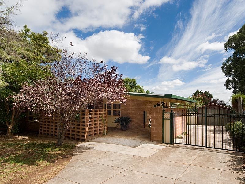 15 McIntosh Avenue, Pasadena SA 5042