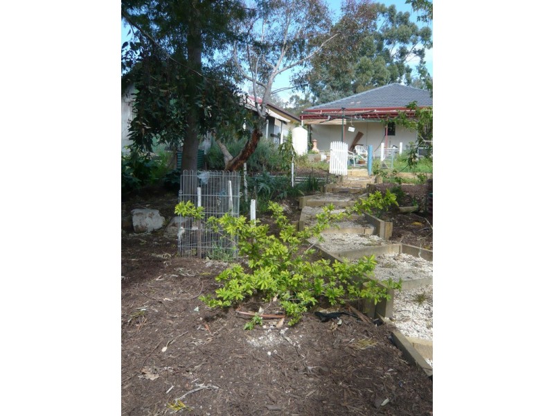 7 Burns Street, Nairne SA 5252