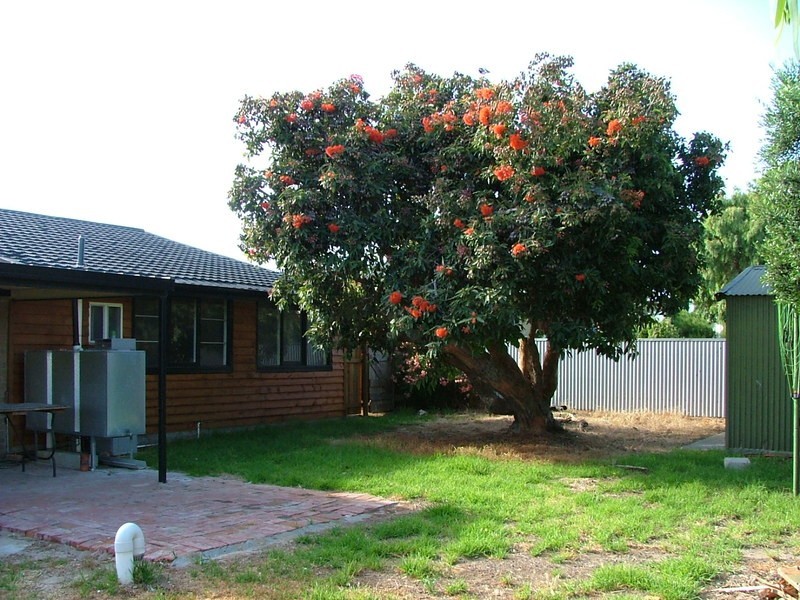 11 Fielding Street, Goolwa Beach SA 5214